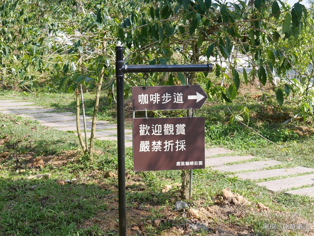 南投魚池。鹿篙咖啡莊園│南投眺望山林壯觀美景，咖啡香撲鼻，茶香環繞／南投必去咖啡廳