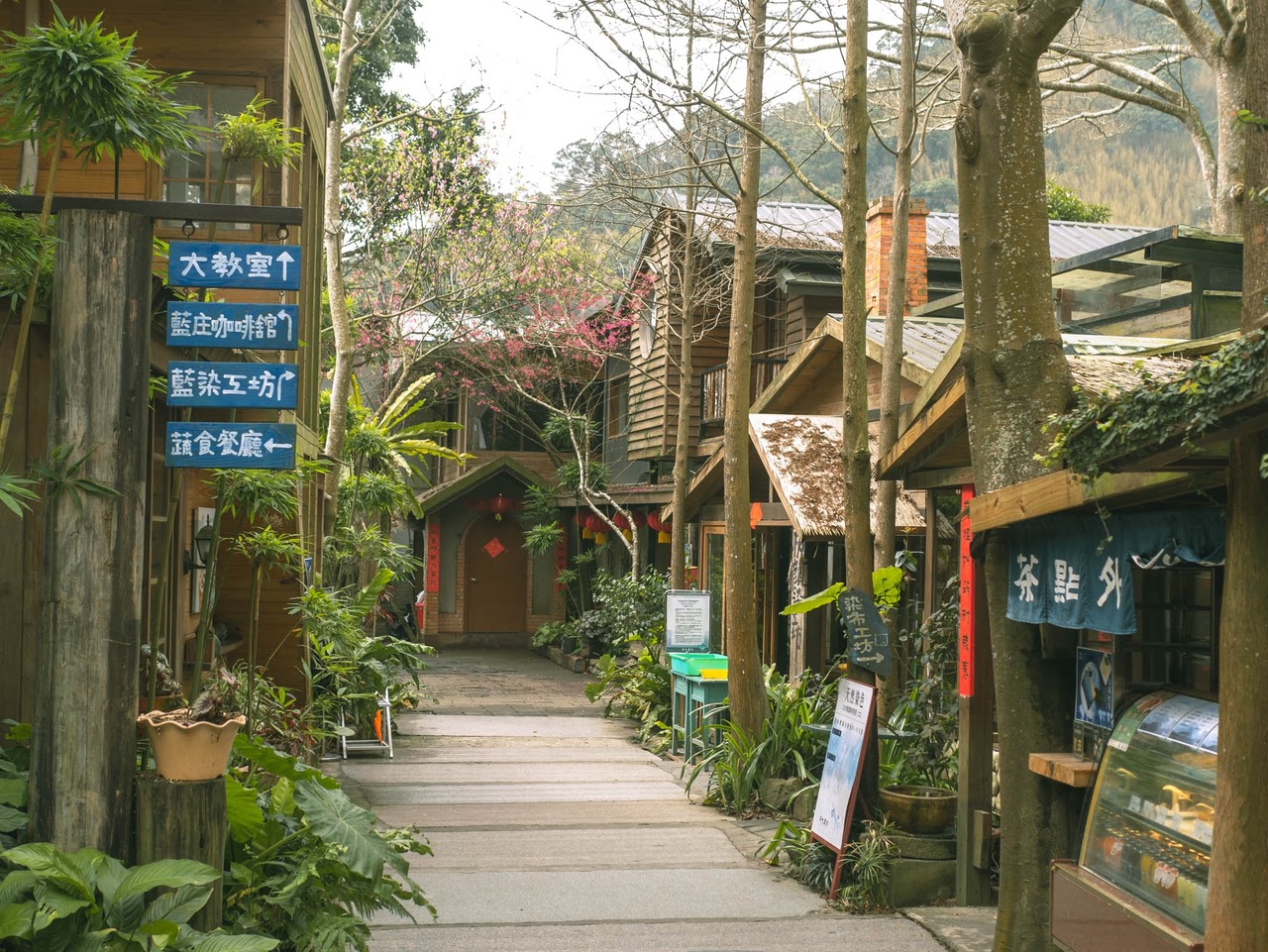 苗栗景點。卓也小屋藍庄咖啡館｜宛如走進早期農村時期的懷舊咖啡廳，在玻璃屋裡享受著靜謐的咖啡時光，三義咖啡廳/三義景點/苗栗咖啡廳
