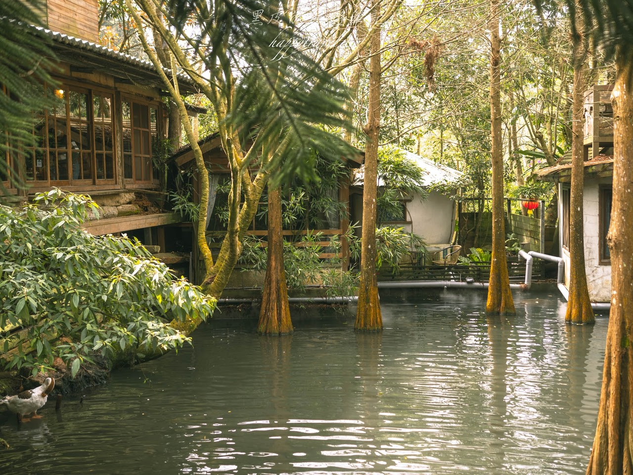 苗栗景點。卓也小屋藍庄咖啡館｜宛如走進早期農村時期的懷舊咖啡廳，在玻璃屋裡享受著靜謐的咖啡時光，三義咖啡廳/三義景點/苗栗咖啡廳