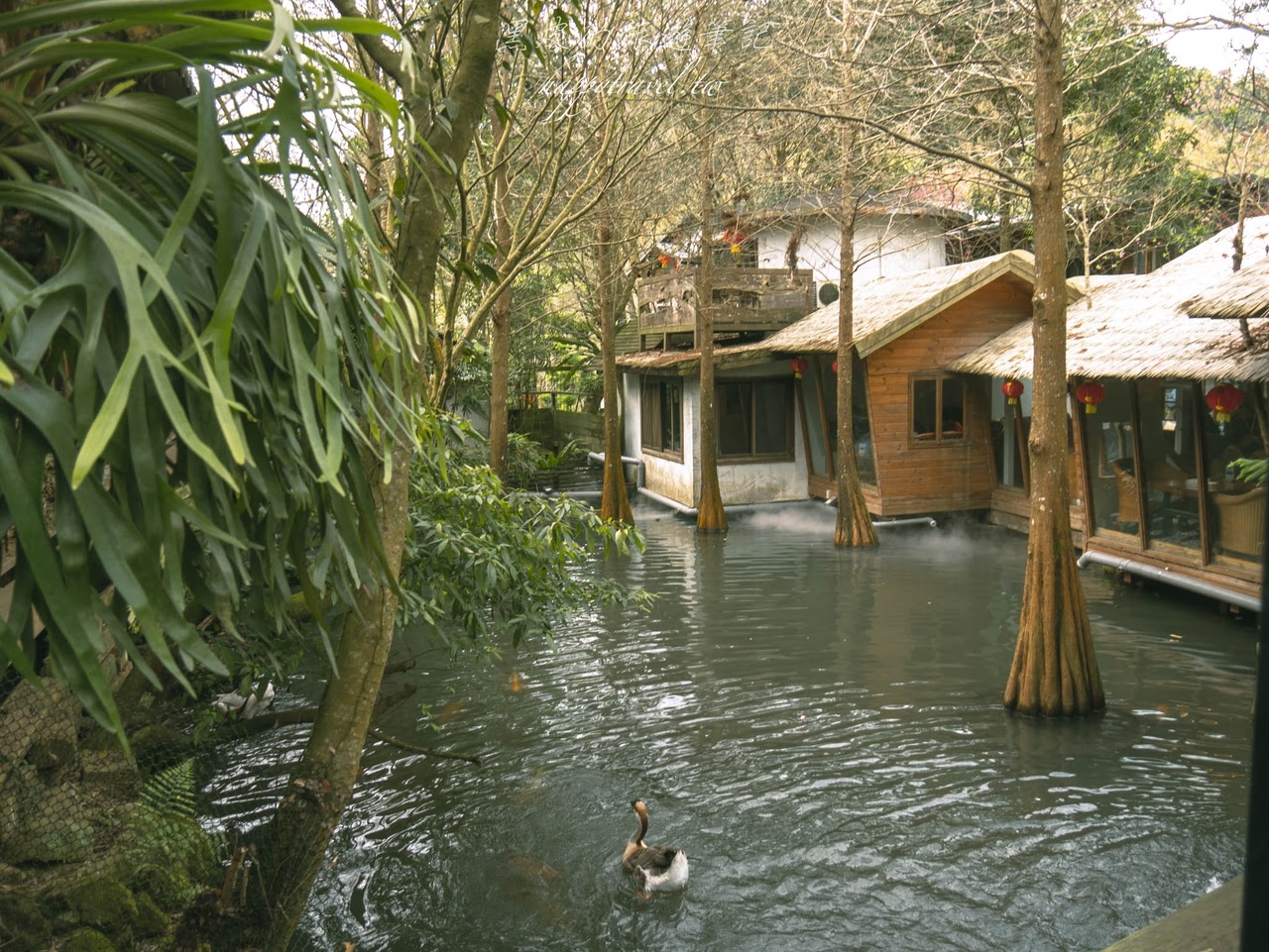 苗栗景點。卓也小屋藍庄咖啡館｜宛如走進早期農村時期的懷舊咖啡廳，在玻璃屋裡享受著靜謐的咖啡時光，三義咖啡廳/三義景點/苗栗咖啡廳