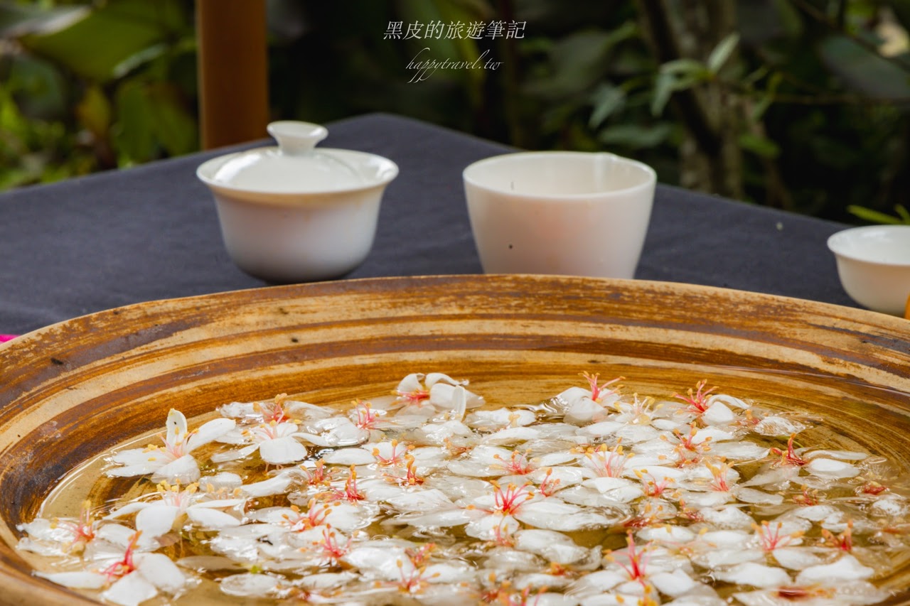 桃園龍潭景點。甘家堡生態休閒園區｜絕美油桐花私宅秘境，走在夢幻的雪白隧道真的太浪漫/油桐花景點