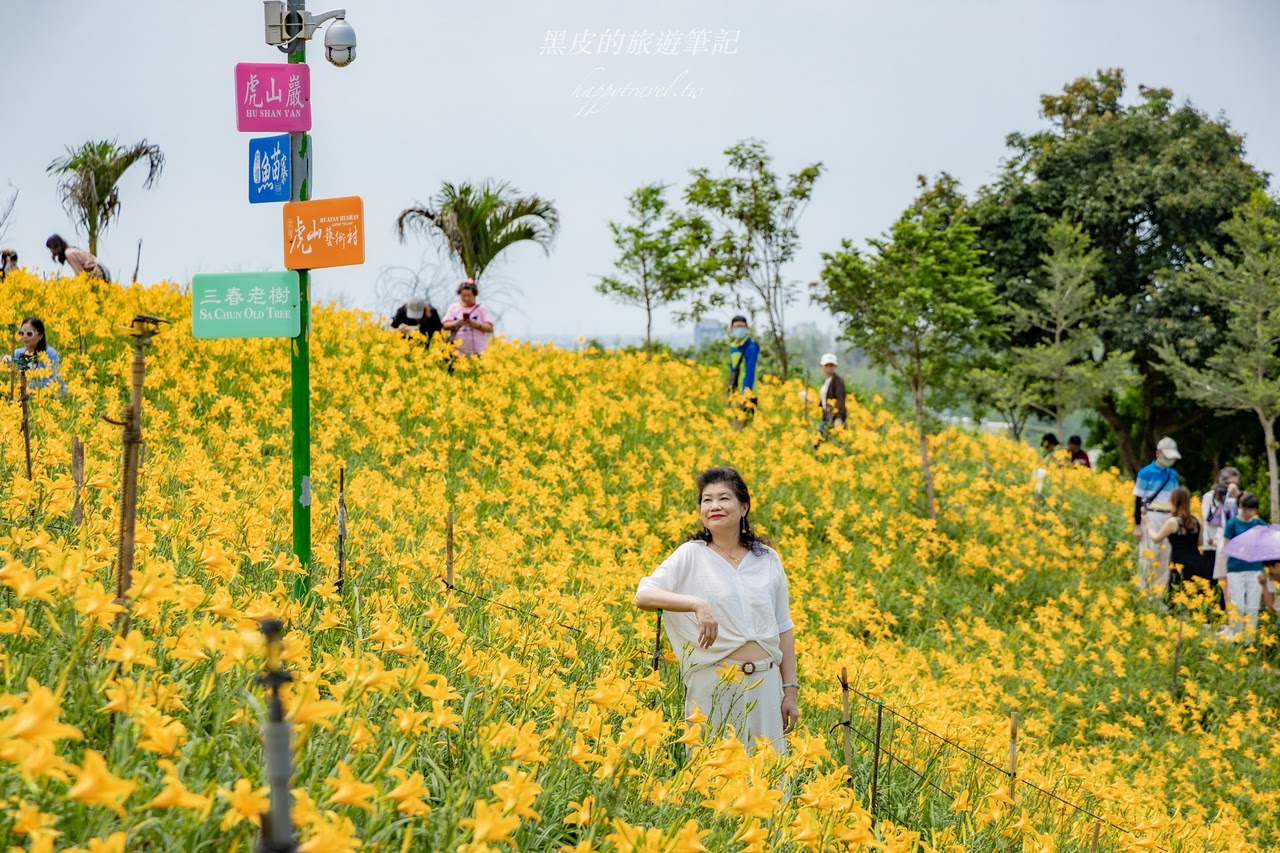 彰化花壇景點。2024虎山巖金針花海｜全台最早開花的金針花海，絕美夢幻金黃山丘