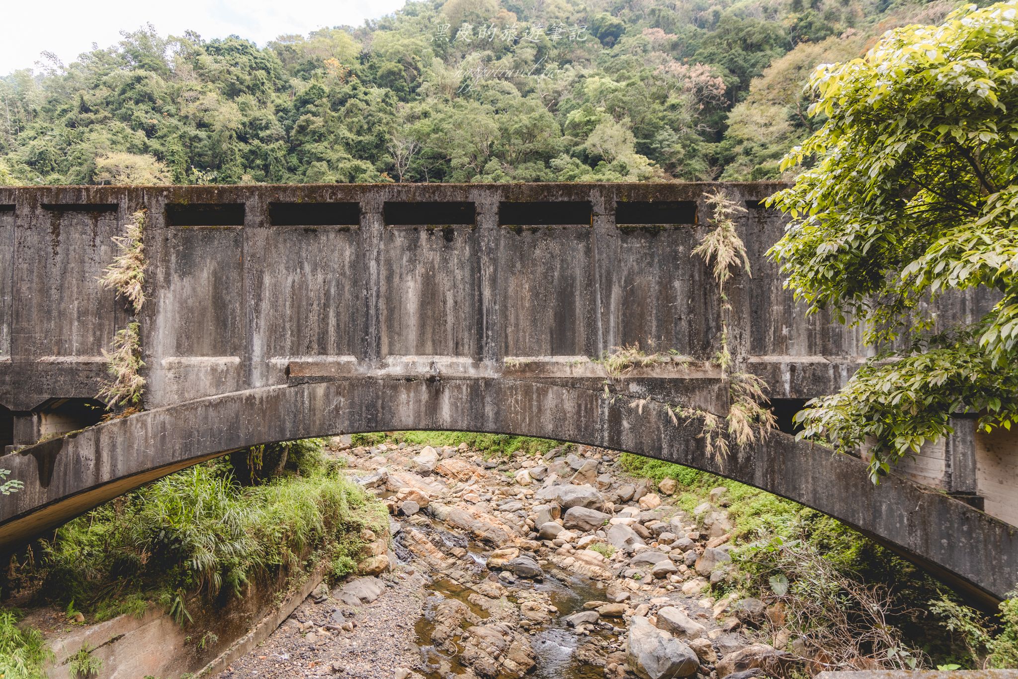 頭社水路橋|日治昭和時期遺留下的遺跡,鬼斧神工的叢林秘境。水里景點 7 頭社水路橋|日治昭和時期遺留下的遺跡,鬼斧神工的叢林秘境。水里景點