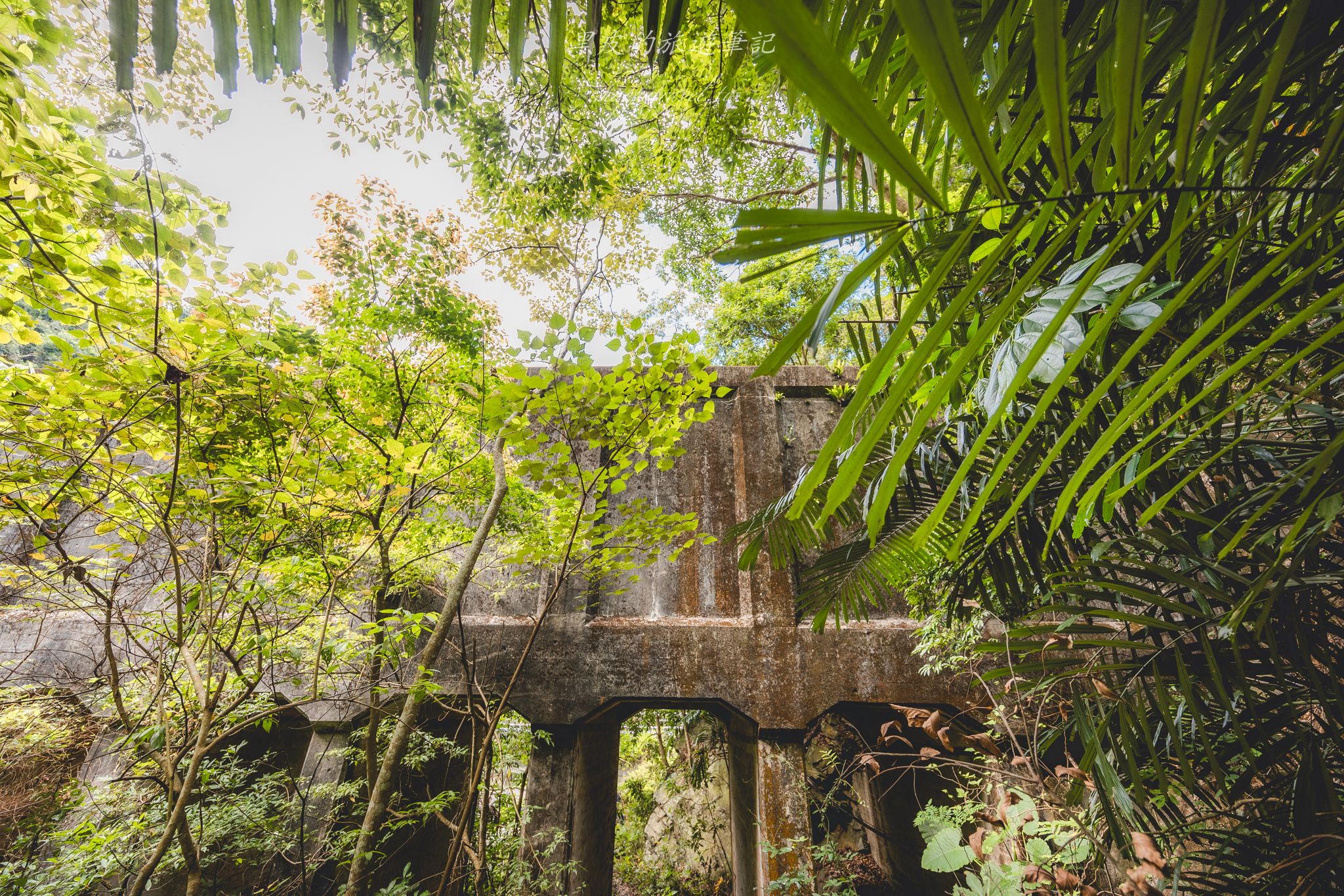 頭社水路橋|日治昭和時期遺留下的遺跡,鬼斧神工的叢林秘境。水里景點 1 這張圖片的 alt 屬性值為空,它的檔案名稱為 20250115205821_0_5e3d6d.jpg