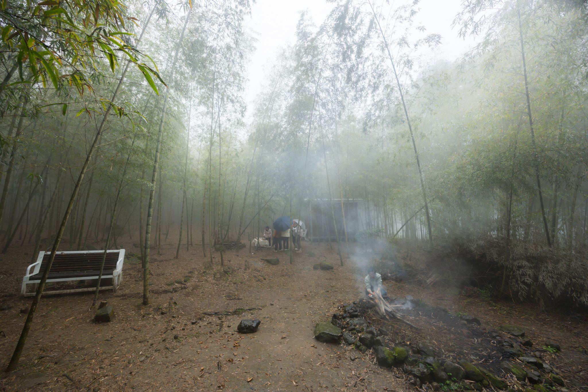 南投竹山鹿谷兩天一日遊|原來竹山、鹿谷還能這樣玩?在竹林中享用夢幻午餐。/竹山景點/鹿谷景點 13 南投竹山鹿谷兩天一日遊|原來竹山、鹿谷還能這樣玩?在竹林中享用夢幻午餐。/竹山景點/鹿谷景點
