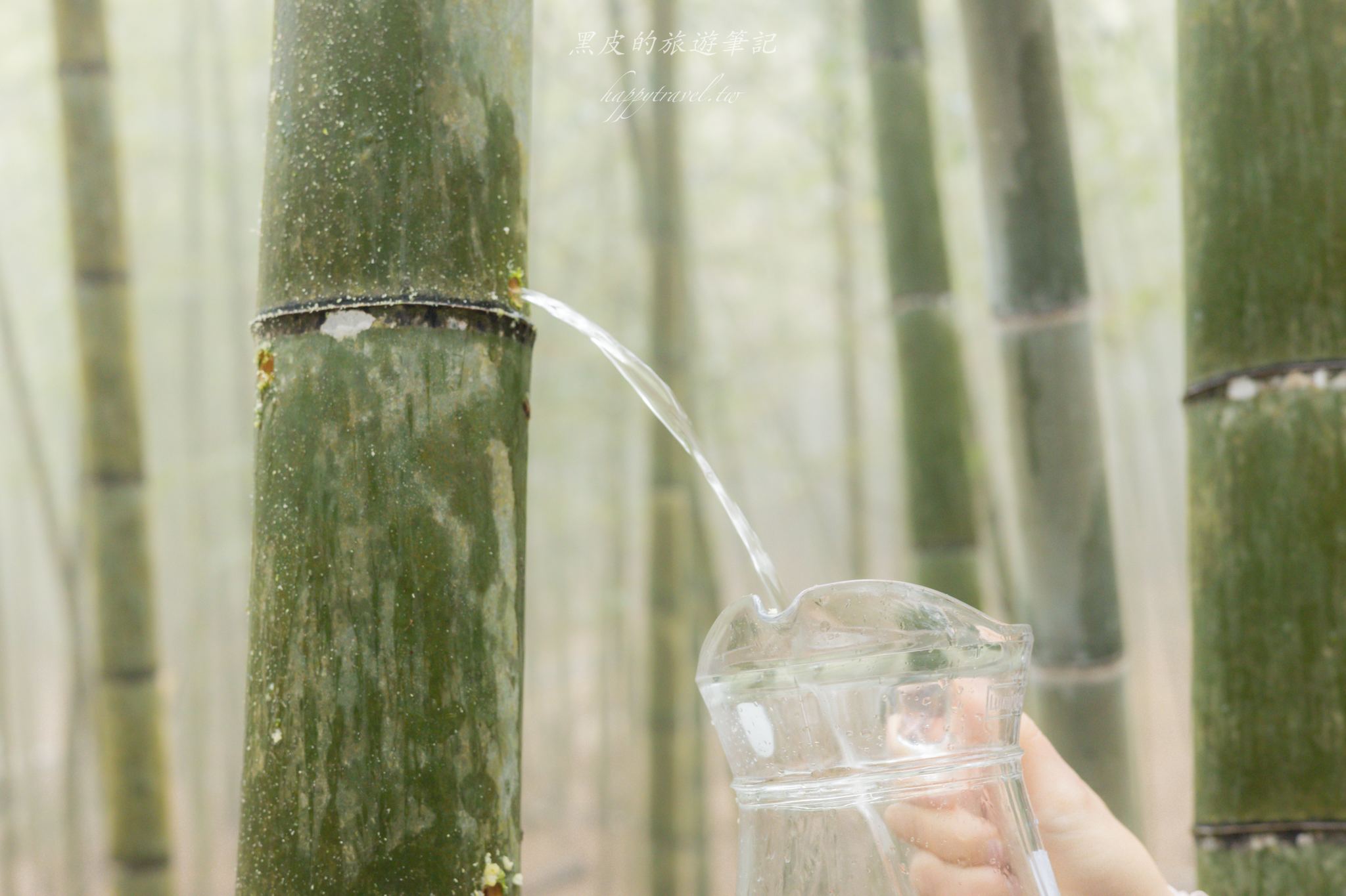 南投竹山鹿谷兩天一日遊|原來竹山、鹿谷還能這樣玩?在竹林中享用夢幻午餐。/竹山景點/鹿谷景點 17 南投竹山鹿谷兩天一日遊|原來竹山、鹿谷還能這樣玩?在竹林中享用夢幻午餐。/竹山景點/鹿谷景點