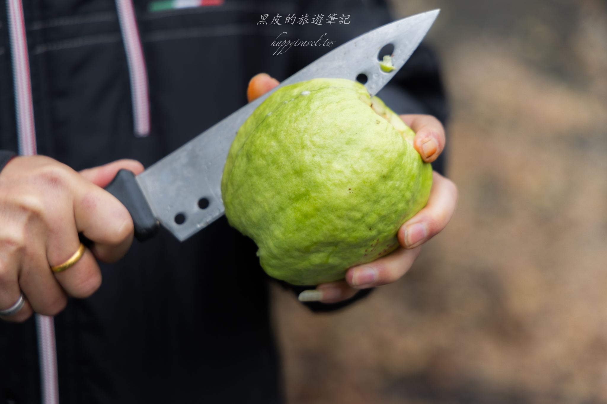 南投竹山鹿谷兩天一日遊|原來竹山、鹿谷還能這樣玩?在竹林中享用夢幻午餐。/竹山景點/鹿谷景點 46 南投竹山鹿谷兩天一日遊|原來竹山、鹿谷還能這樣玩?在竹林中享用夢幻午餐。/竹山景點/鹿谷景點