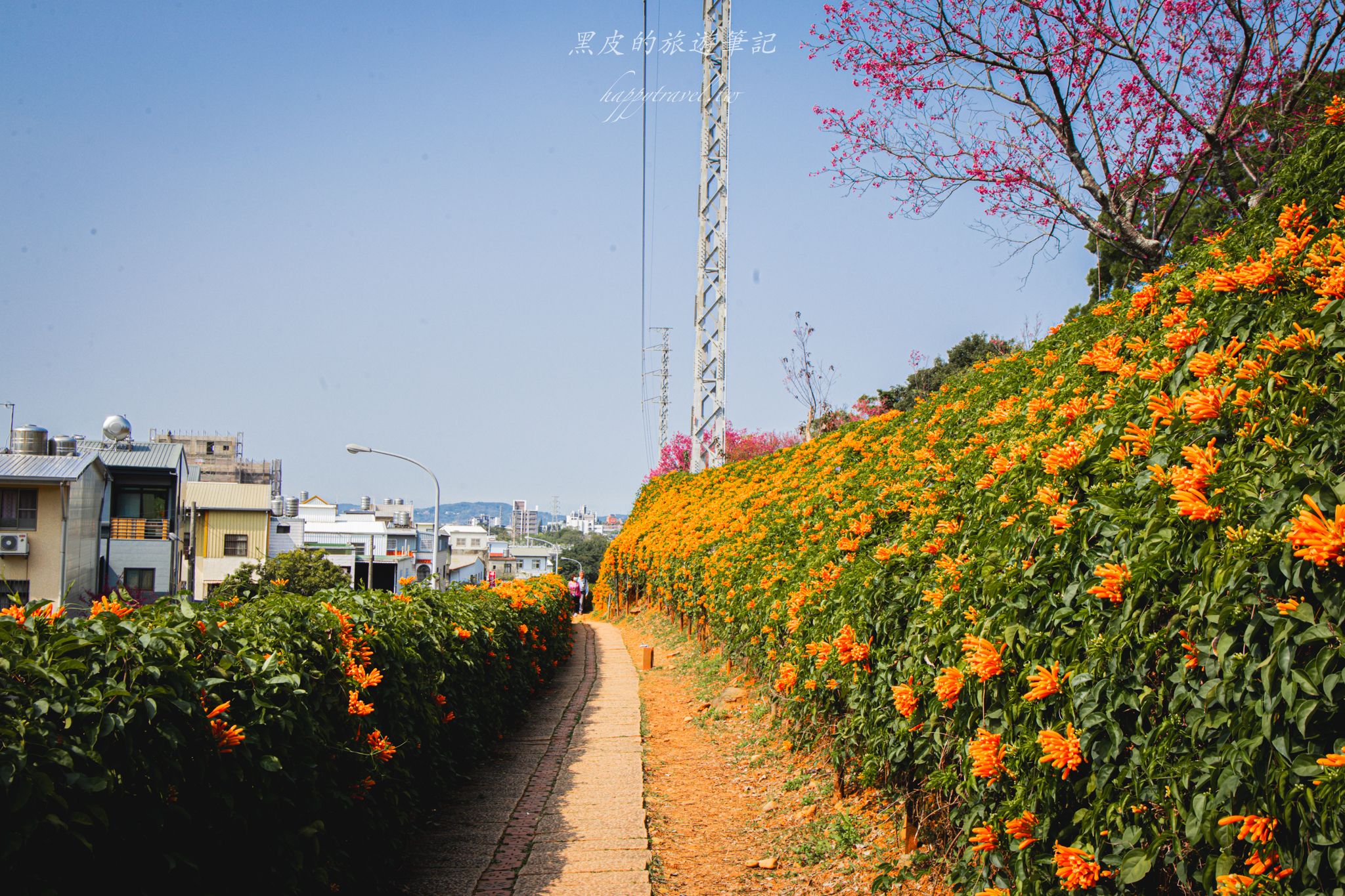 苗栗銅鑼環保公園-銅鑼炮仗花海公園|僅三百公尺的雙層炮仗花步道,二月底夢幻登場 7 苗栗銅鑼環保公園-銅鑼炮仗花海公園|僅三百公尺的雙層炮仗花步道,二月底夢幻登場