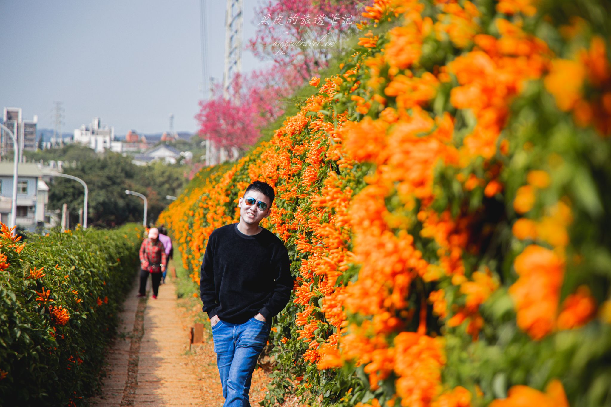 苗栗銅鑼環保公園-銅鑼炮仗花海公園|僅三百公尺的雙層炮仗花步道,二月底夢幻登場 1 苗栗銅鑼環保公園-銅鑼炮仗花海公園|僅三百公尺的雙層炮仗花步道,二月底夢幻登場