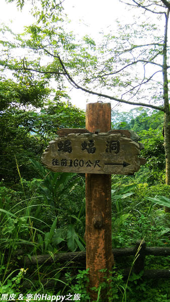 IMAG0983.jpg